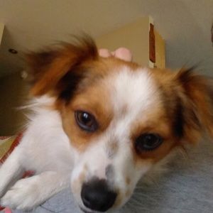 Meet your Posher, Carolyn